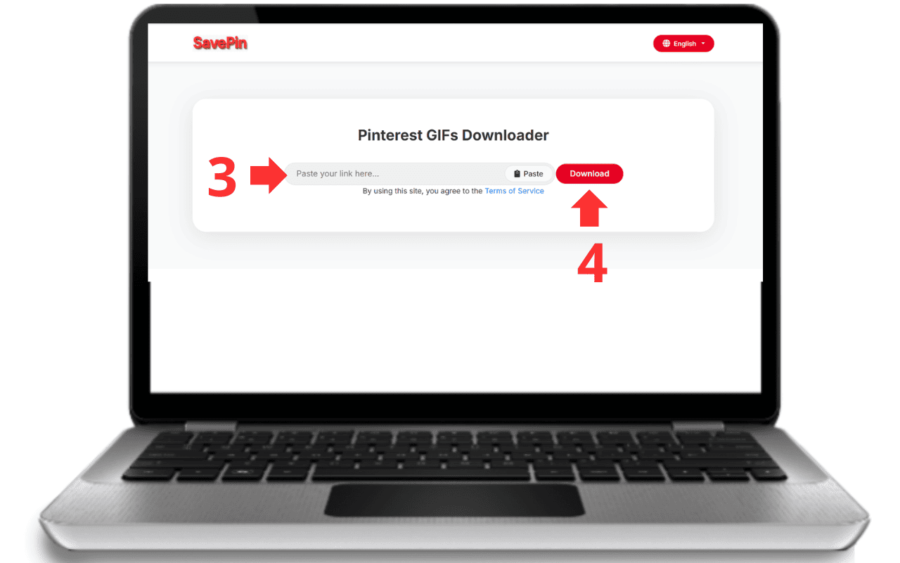 Paste the link into the tool